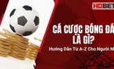 Cá Cược Bóng Đá Là Gì? Hướng Dẫn Từ A-Z Cho Người Mới