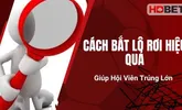 Cách Bắt Lô Rơi Hiệu Quả, Giúp Hội Viên Trúng Lớn