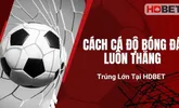 Cách Cá Độ Bóng Đá Luôn Thắng, Trúng Lớn Tại HDBET