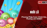 Nuôi Lô – Phương Pháp Cược Chính Xác, Thưởng Lớn HDBET