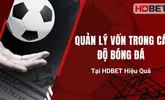 Quản Lý Vốn Trong Cá Độ Bóng Đá Tại HDBET Hiệu Quả
