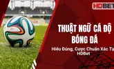 Thuật Ngữ Cá Độ Bóng Đá – Hiểu Đúng, Cược Chuẩn Xác Tại HDBet