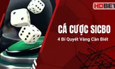 Cá Cược Sicbo - 4 Bí Quyết Vàng Cần Biết