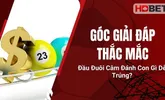 Góc Giải Đáp Thắc Mắc: Đầu Đuôi Câm Đánh Con Gì Dễ Trúng?