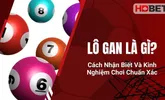Lô Gan Là Gì? Cách Nhận Biết Và Kinh Nghiệm Chơi Chuẩn Xác