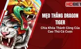 Mẹo Thắng Dragon Tiger – Chìa Khóa Thành Công Của Cao Thủ