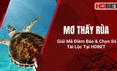 Mơ Thấy Rùa – Giải Mã Điềm Báo & Chọn Số Tài Lộc Tại HDBET