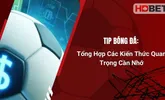 Tip Bóng Đá: Tổng Hợp Các Kiến Thức Quan Trọng Cần Nhớ