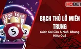 Bạch Thủ Lô Miền Trung – Cách Soi Cầu & Nuôi Khung Hiệu Quả
