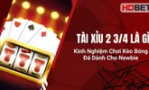 Tài Xỉu 2 3/4 Là Gì? Kinh Nghiệm Chơi Kèo Bóng Đá Dành Cho Newbie
