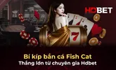 Bí kíp bắn cá Fish Cat thắng lớn từ chuyên gia Hdbet