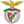 Benfica flag